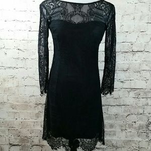 BB Dakota black lace form fitting dress